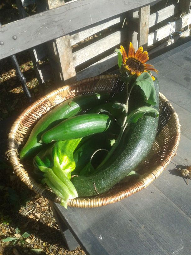 20190809_090925.jpg